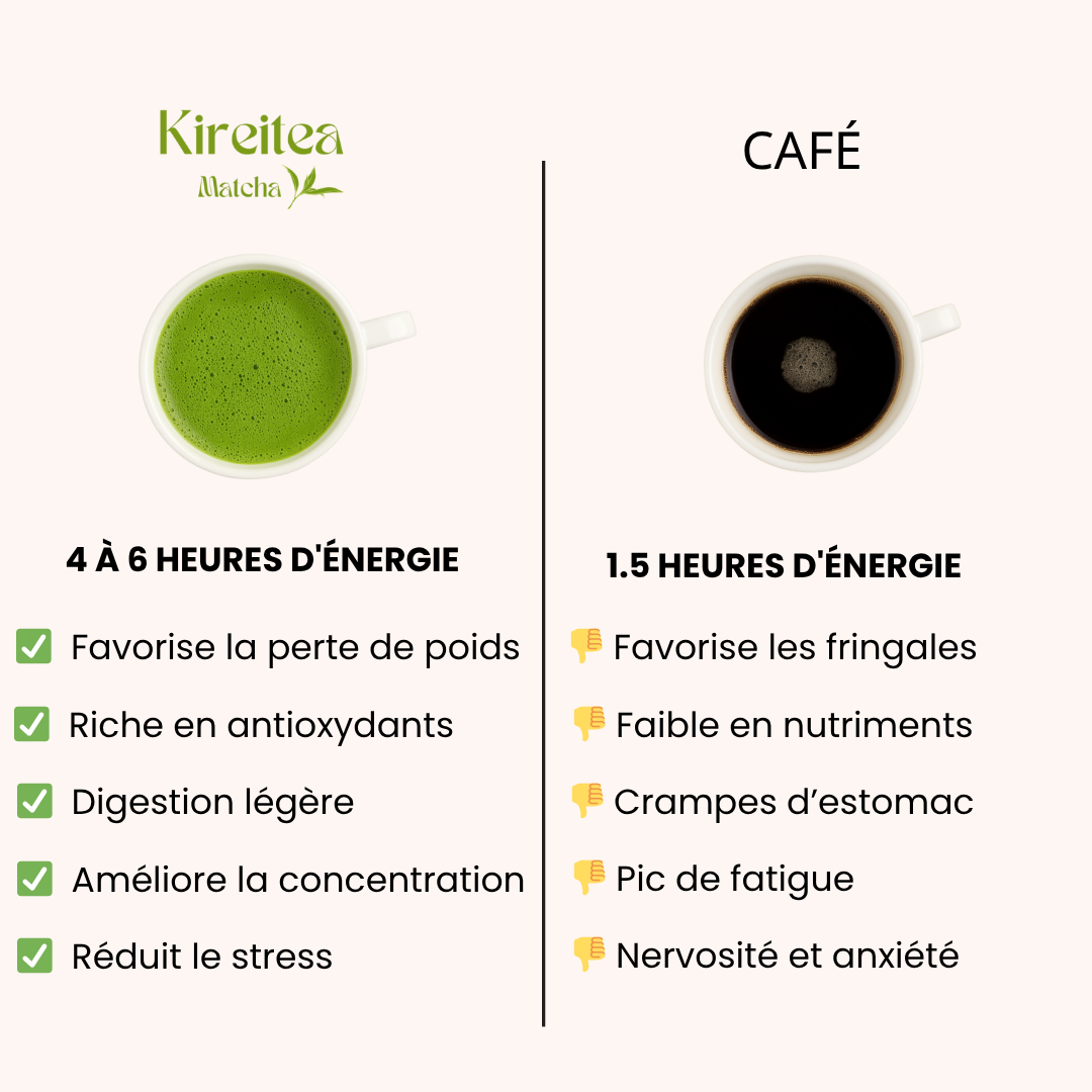THÉ MATCHA CÉRÉMONIE BIO - HAUTE QUALITÉ