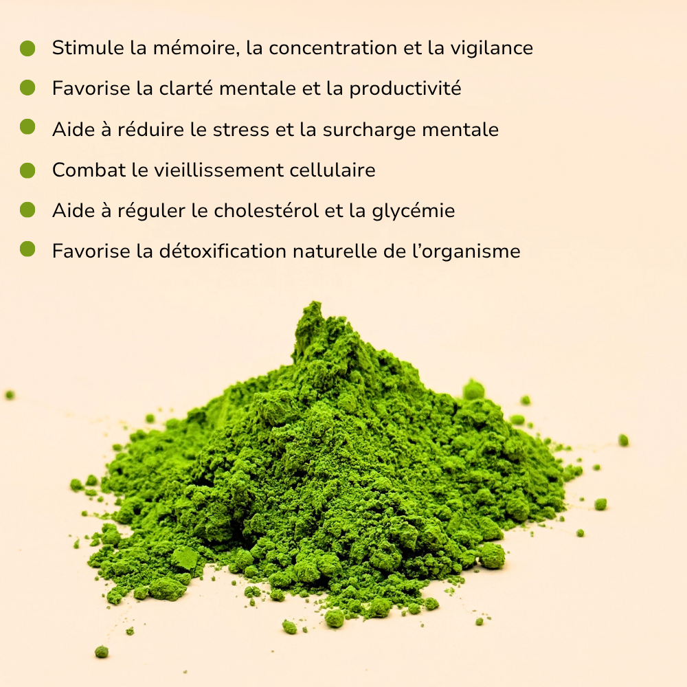 Bienfaits du matcha bio Kireitea – améliore la concentration, réduit le stress et favorise la détox naturelle de l’organisme