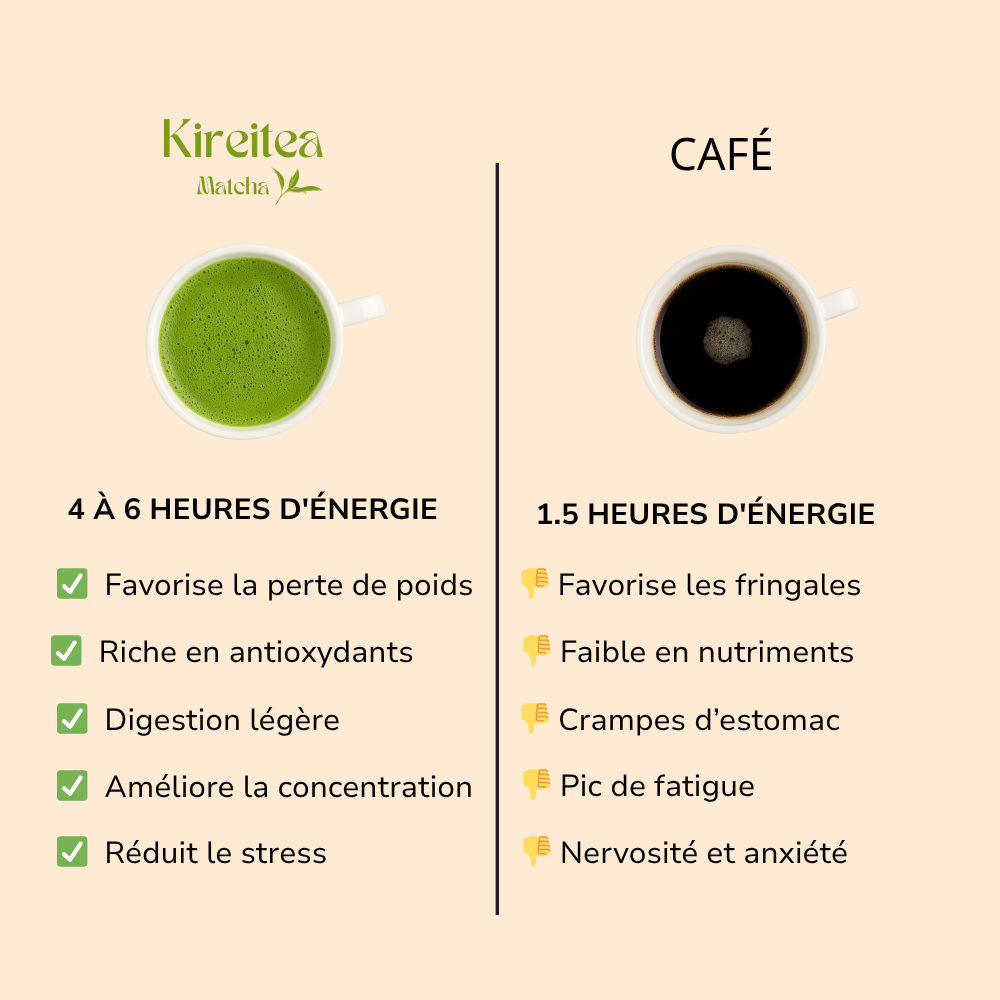 Comparatif Matcha vs Café – les bienfaits du thé matcha Kireitea pour une énergie durable sans nervosité
