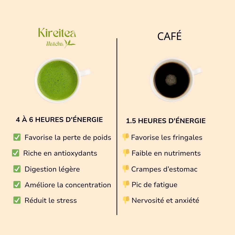THÉ MATCHA CÉRÉMONIE BIO - HAUTE QUALITÉ